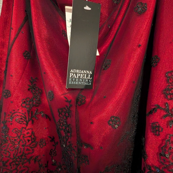 Adrianna Papell Red and Black Floral Lace Skirt - Picture 3 of 3